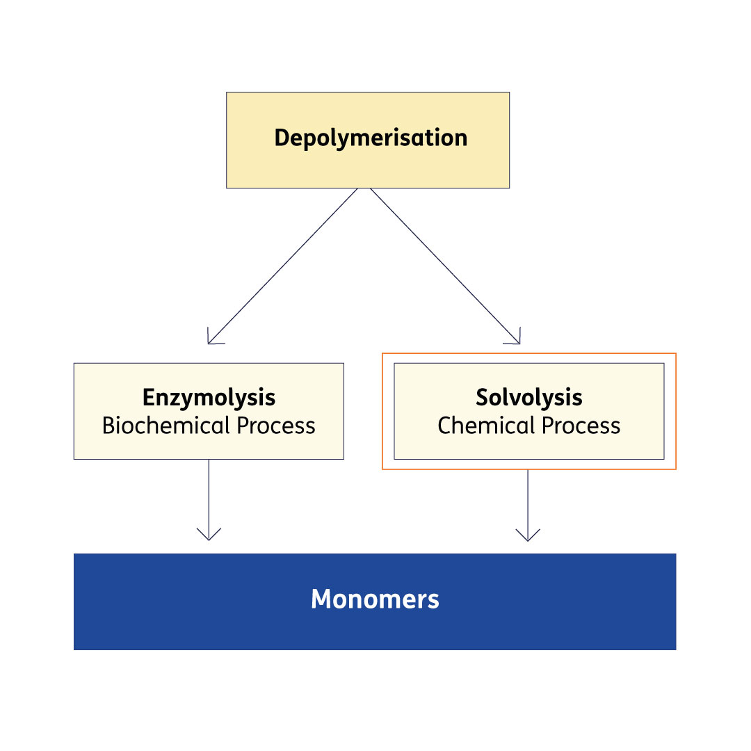 depolymerisation_EN