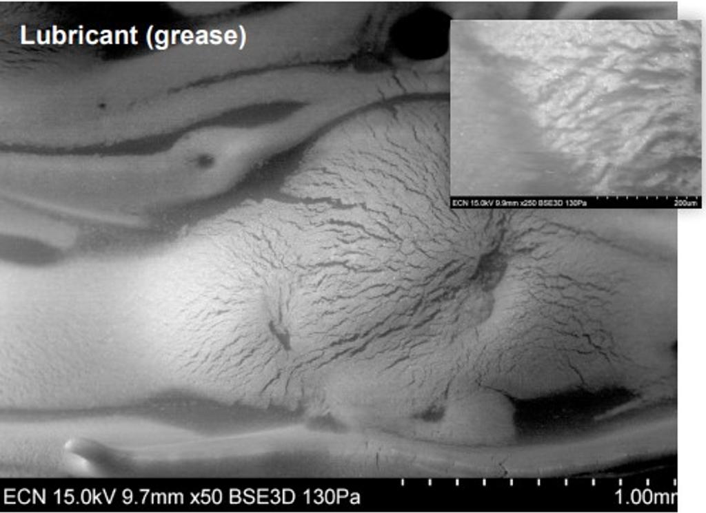 SEM Hitachi S-3700N-example investigation of grease