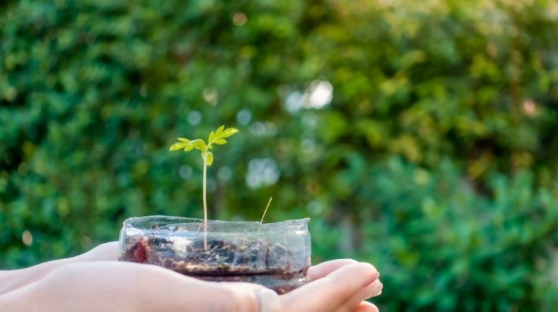 duurzaamheid uitgebeeld met een plantje in een plastic beker