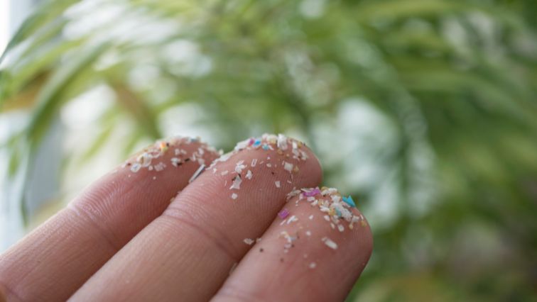 Microplastics on fingers